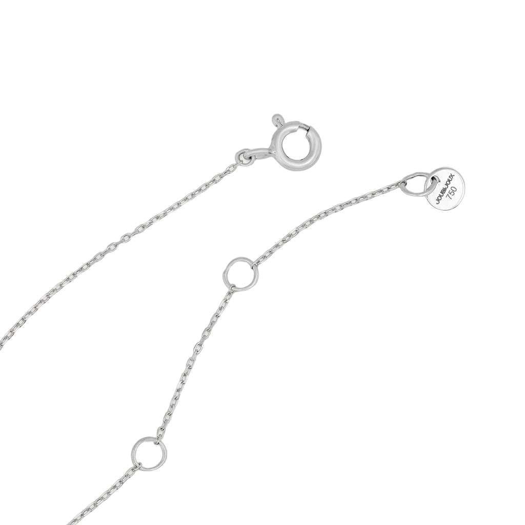 White gold necklace chain with clasp on a white background