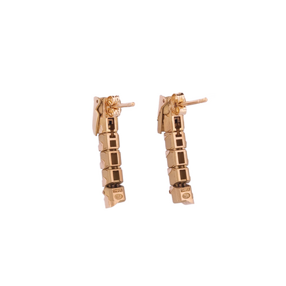 Caterpillar earrings on a white background