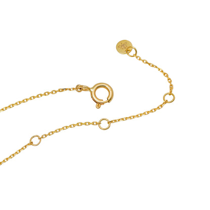 Gold chain necklace with clasp on a white background
