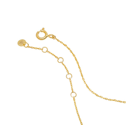 Gold chain necklace on a white background