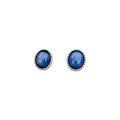 Pair of blue oval earrings on a white background