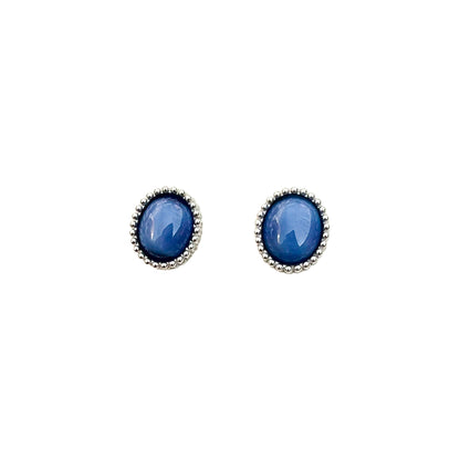 Pair of blue oval earrings on a white background