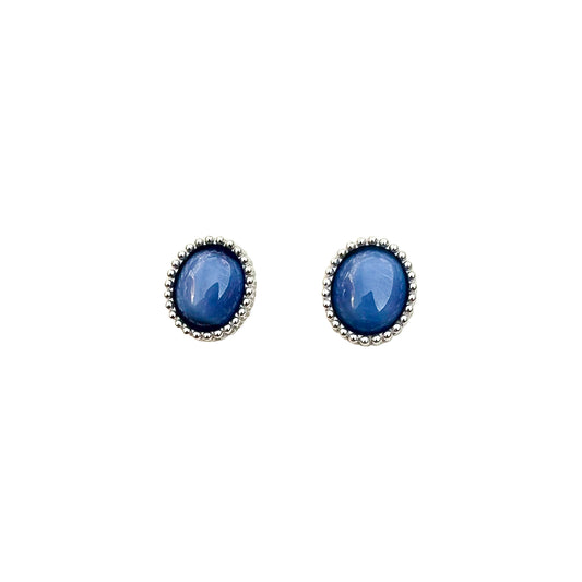 Pair of blue oval earrings on a white background