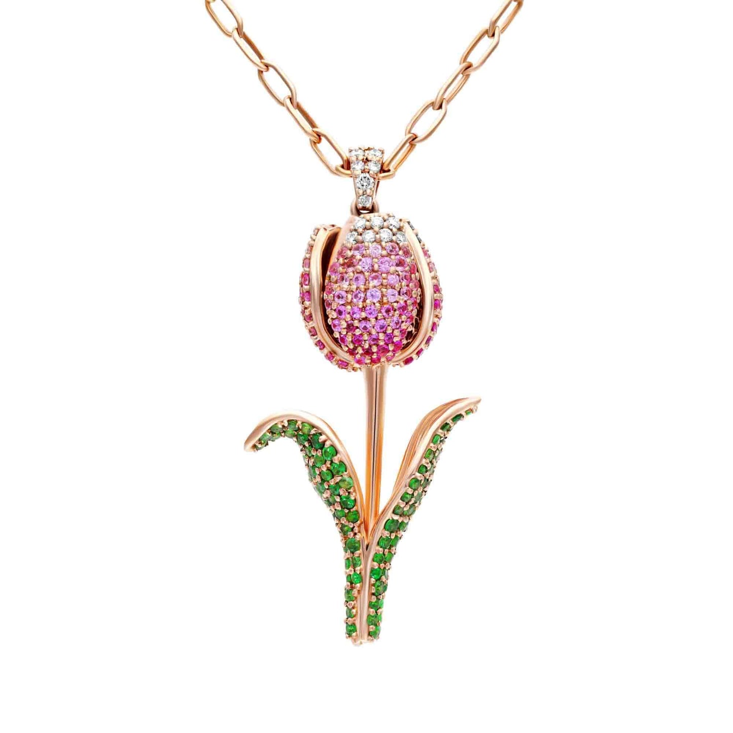 Blossom of the Stars