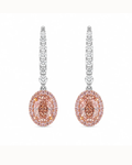 Adrisya candy floss 18k two tone gold earrings front view