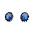 RosaReem Blue Star Garnet Earrings product photo
