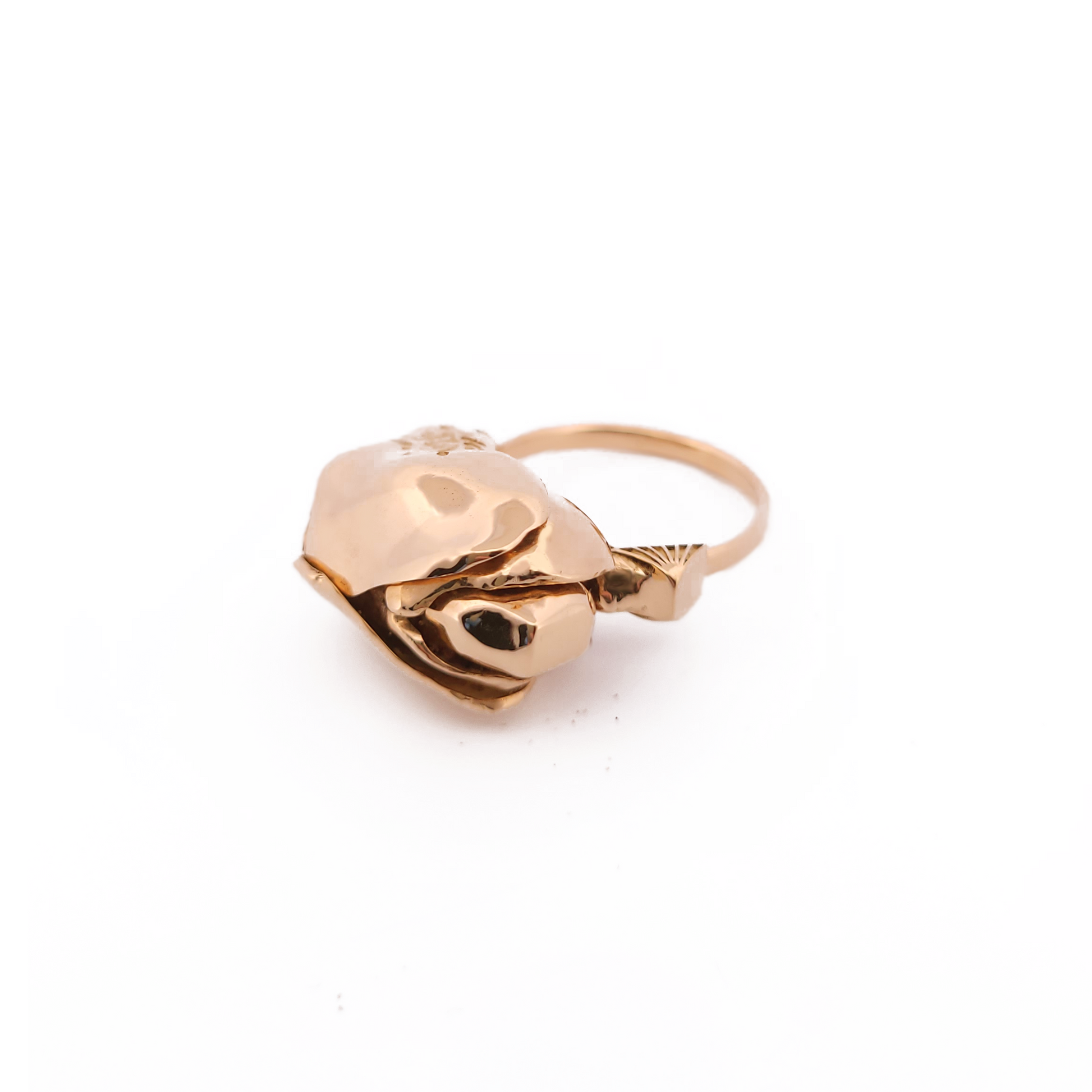 Gold moth ring from The Contrast Club
