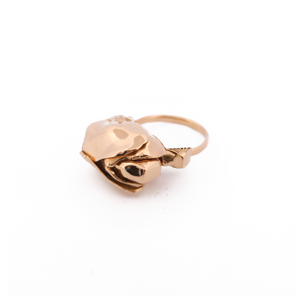 Gold moth ring from The Contrast Club
